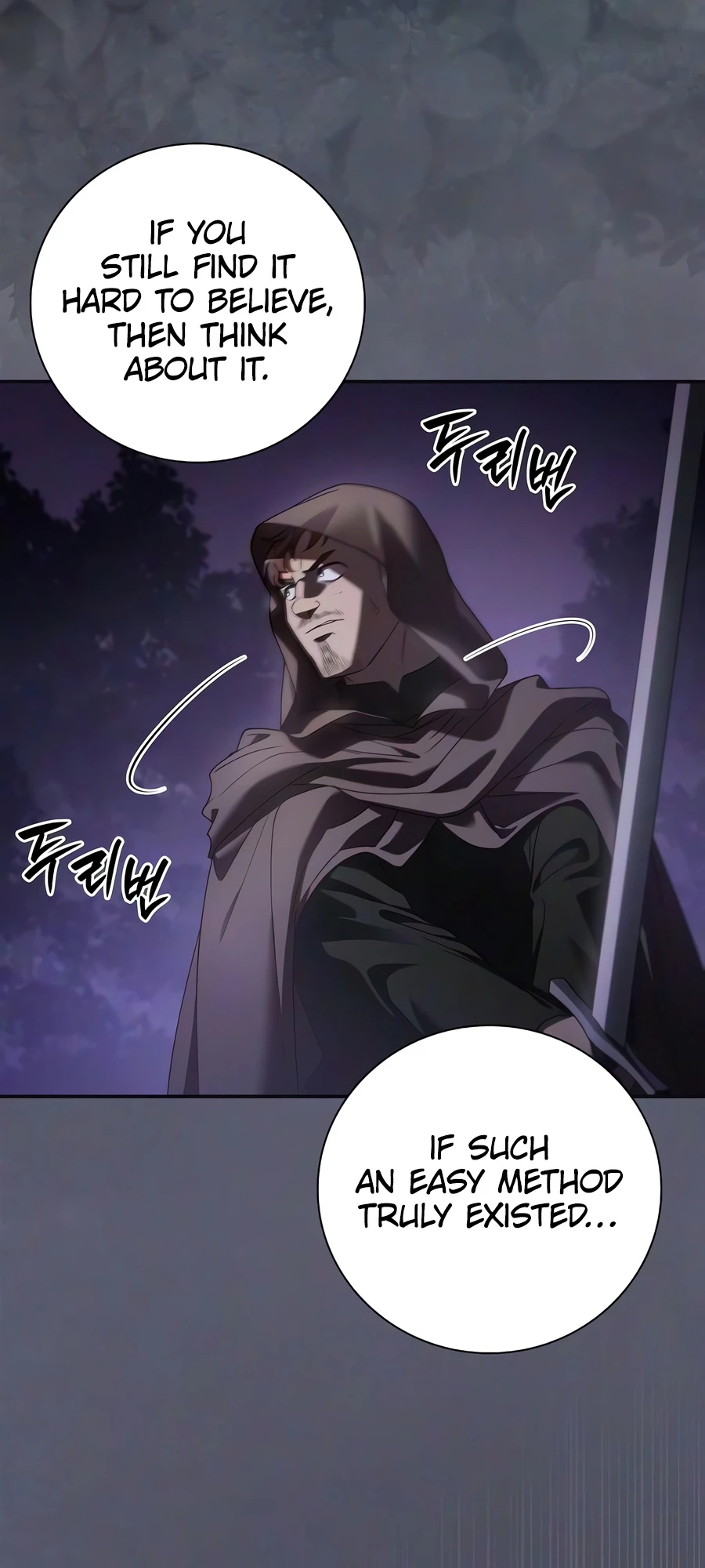 A Mercenary's Rebirth Among Nobles chapter 37 page 11