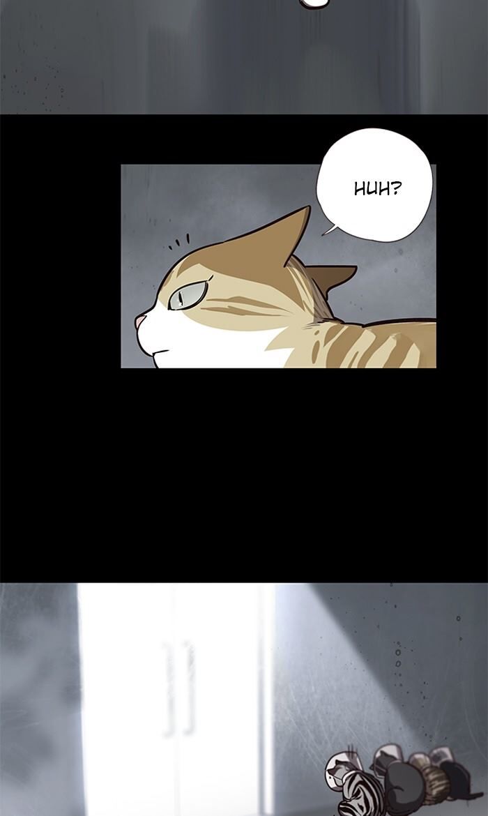 Eleceed Chapter 56 page 3