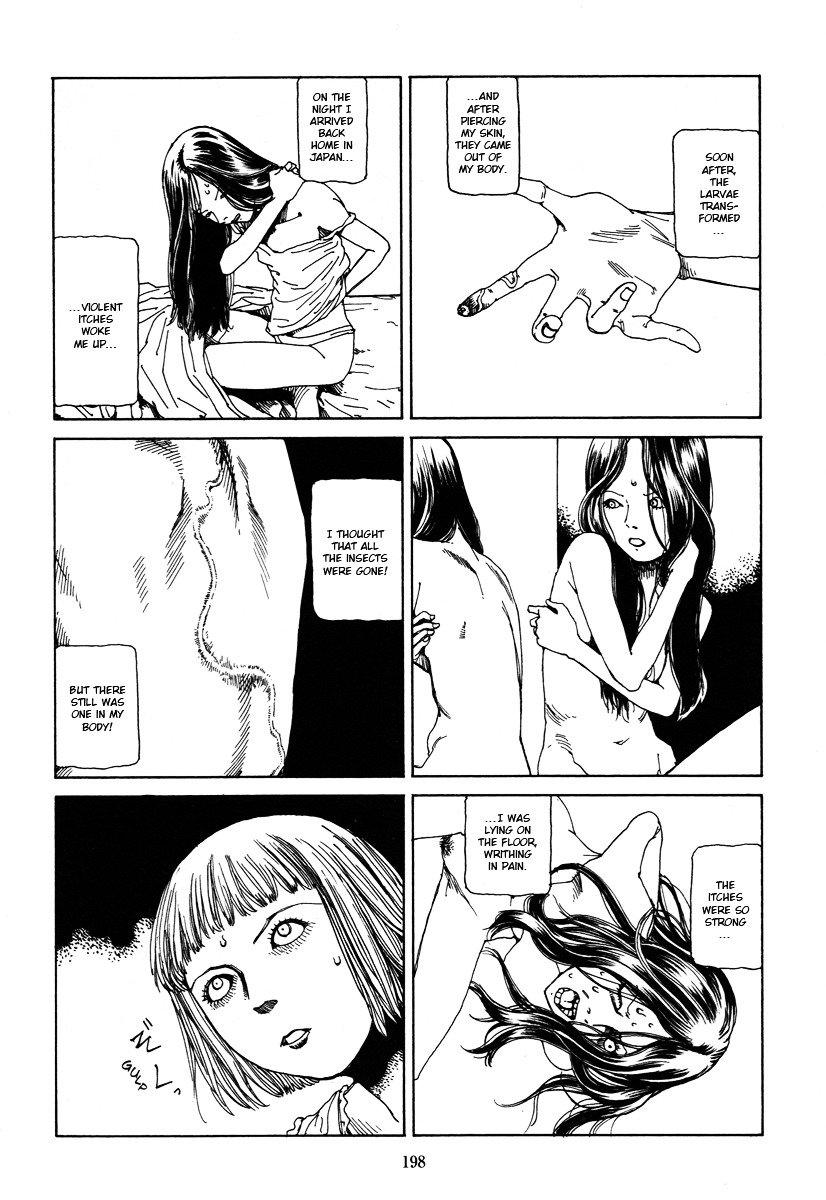 Fraction Chapter 5 page 6