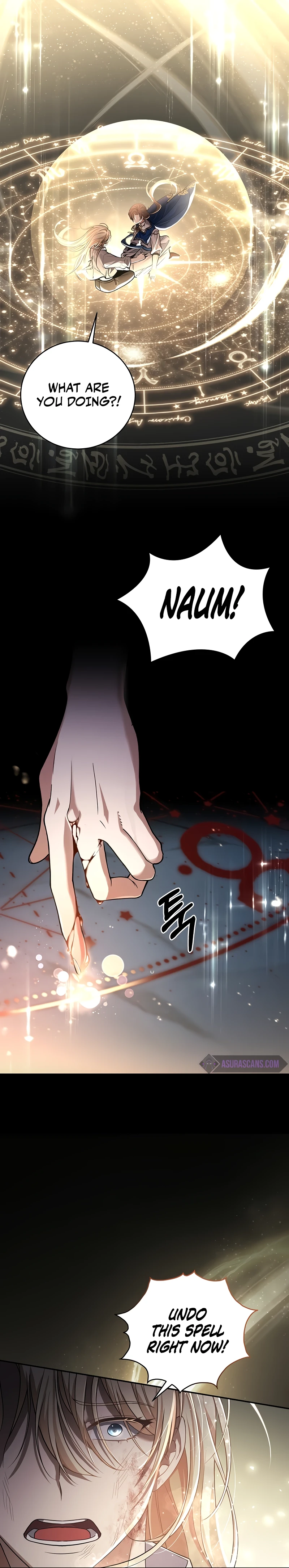 Margrave's Bastard Son Was the Emperor chapter 1 page 9