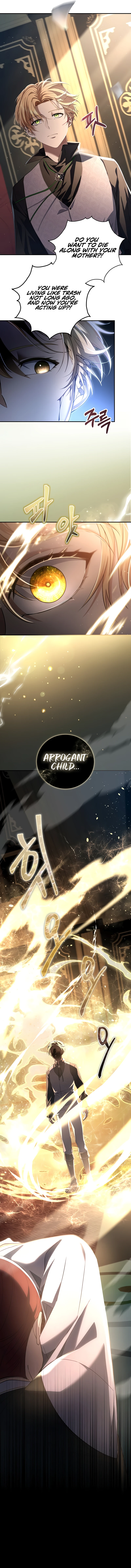 Margrave's Bastard Son Was the Emperor chapter 2 page 9