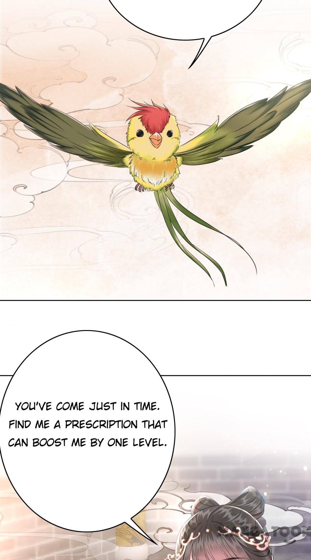 Miss Miracle Chapter 162 page 4