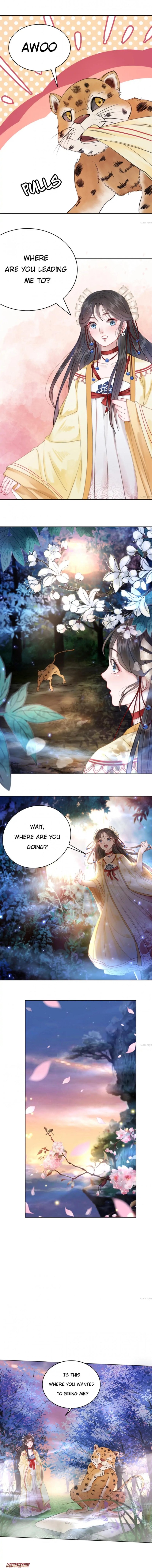 Miss Miracle Chapter 60 page 4