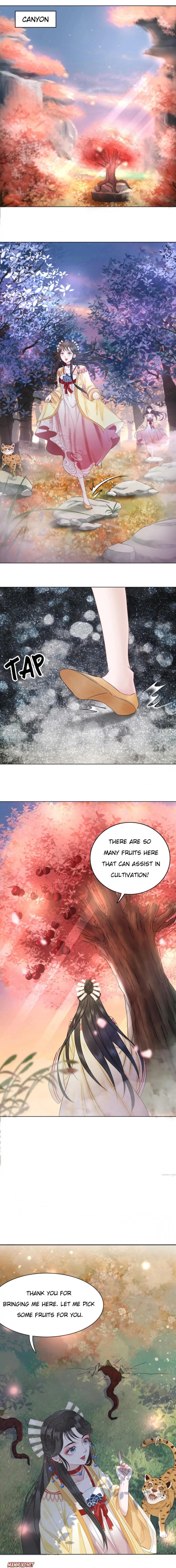 Miss Miracle Chapter 60 page 5