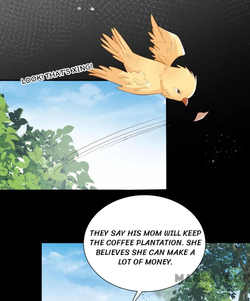 Mr. Lu, Your Wife Is Trending Again! Chapter 76 page 4
