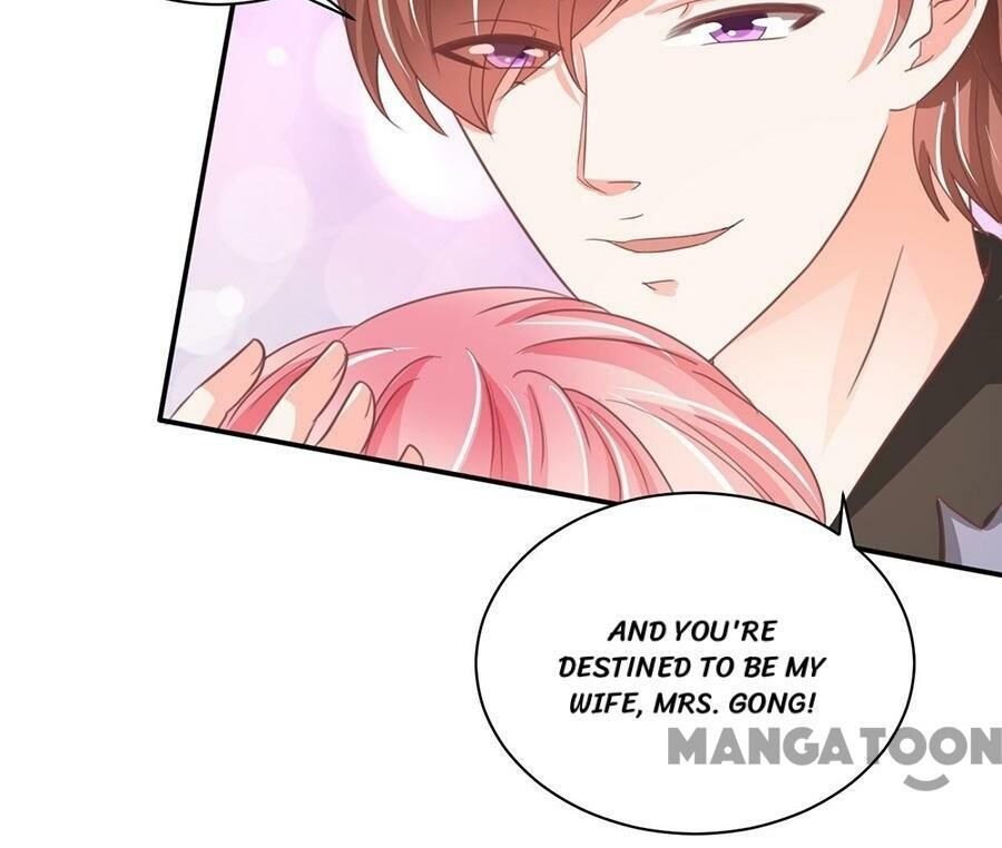 Prince’s Private Baby Chapter 217 page 10