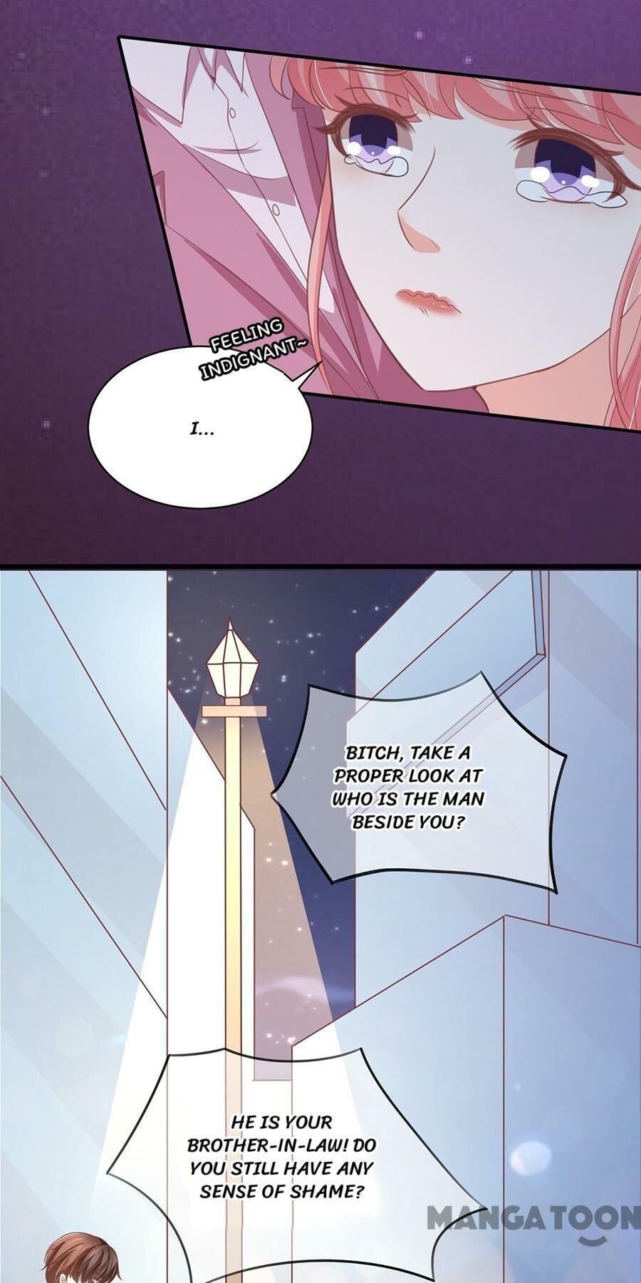 Prince’s Private Baby Chapter 218 page 6