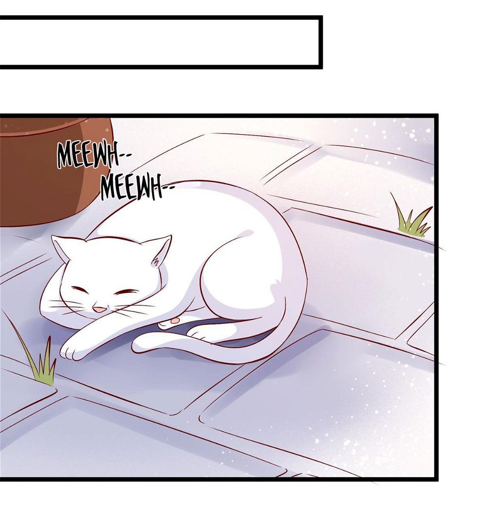 Rebel Princess: The Divine Doctor Outcast Chapter 43 page 34