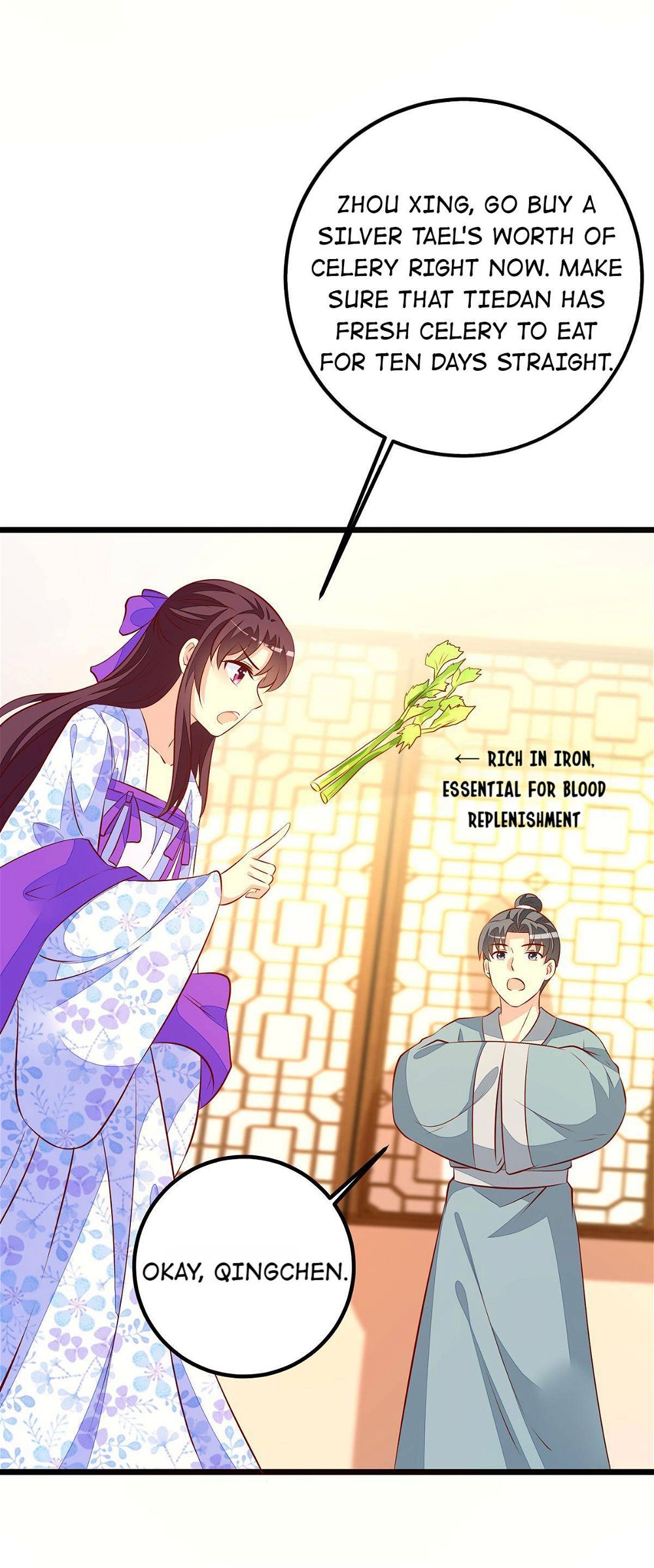 Rebel Princess: The Divine Doctor Outcast Chapter 52 page 17
