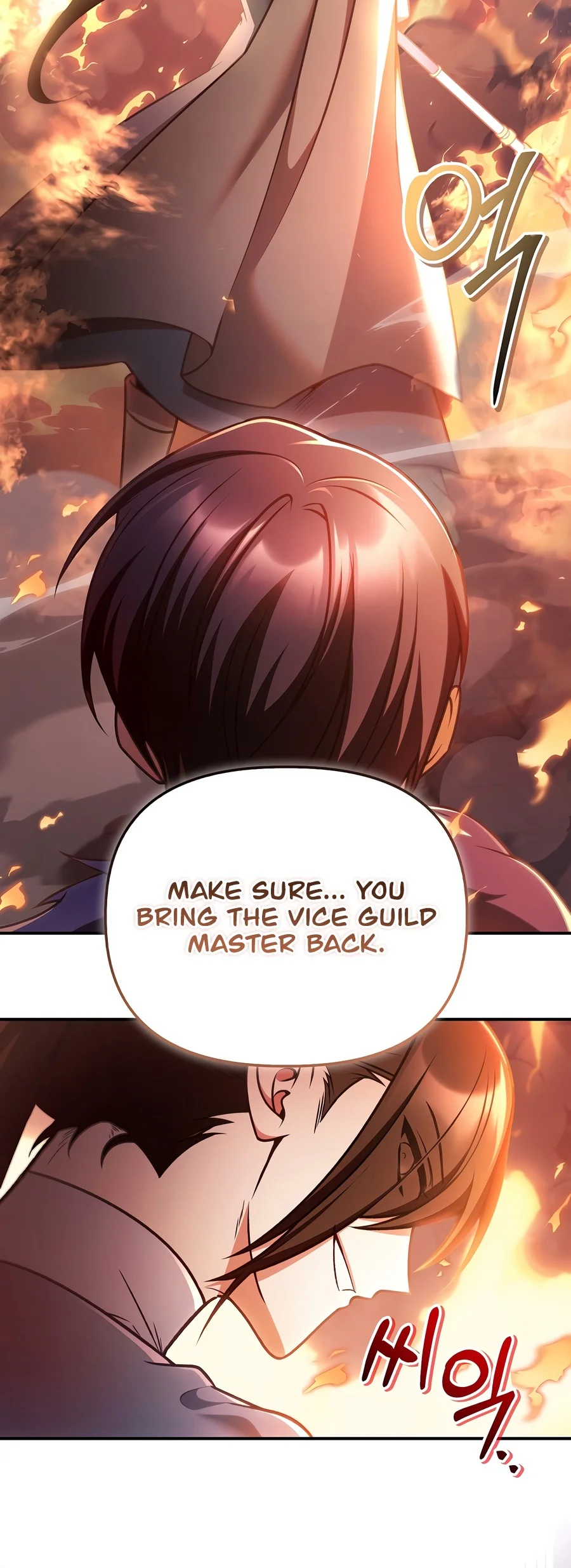 Regressor Instruction Manual chapter 208 page 17