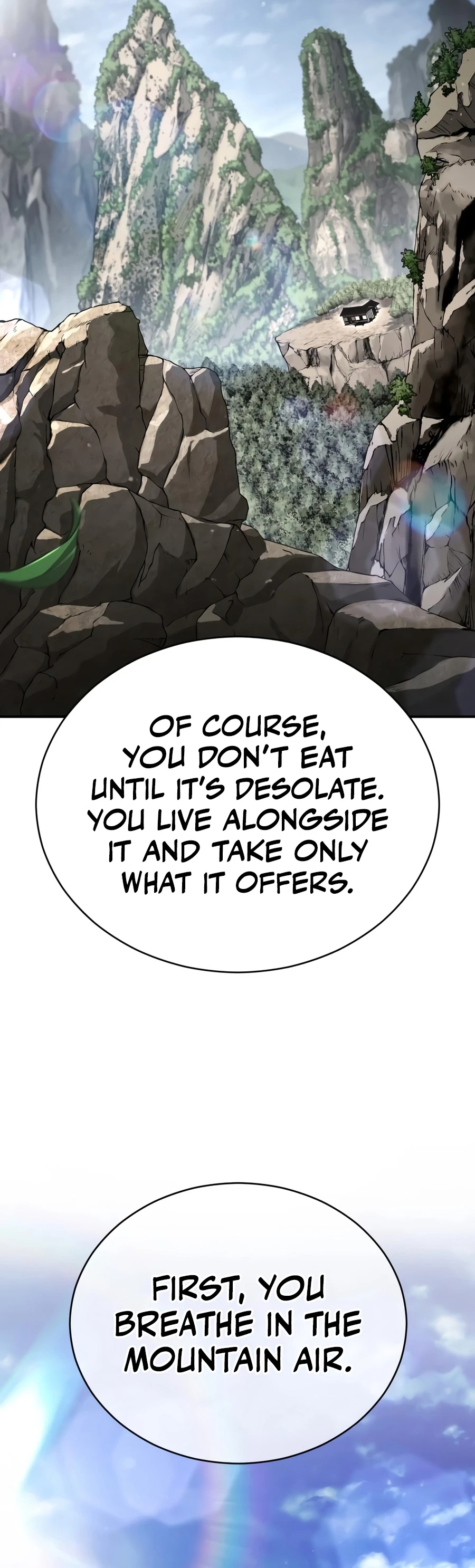 Reincarnation of the Fist King chapter 63 page 15