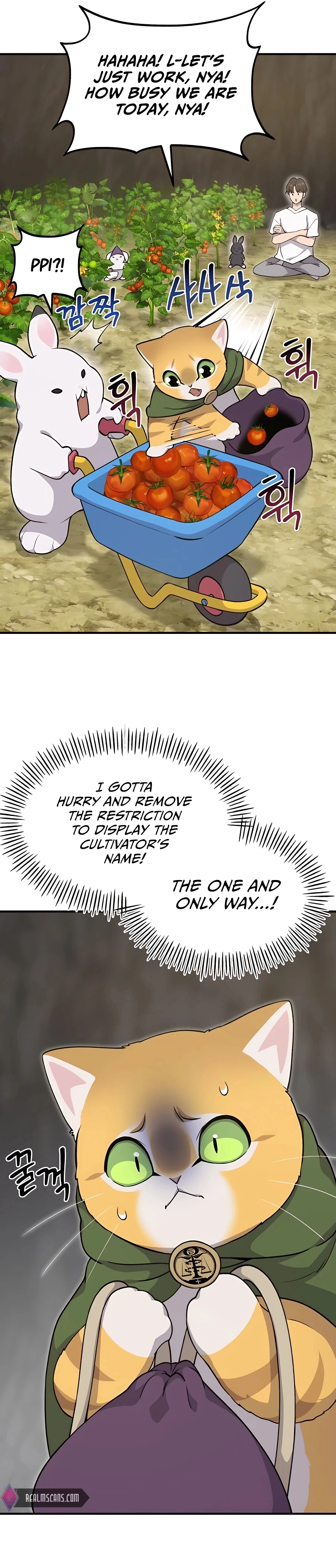 Solo Farming in the Tower chapter 13 page 43