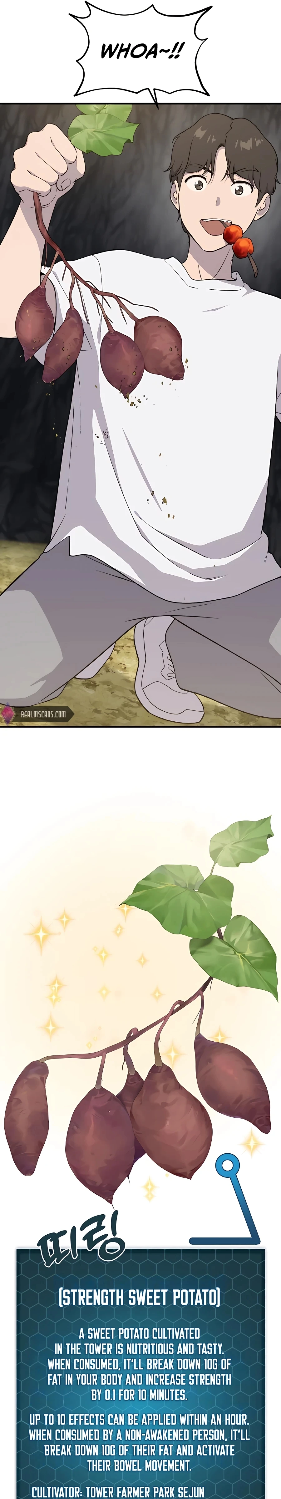Solo Farming in the Tower chapter 8 page 17