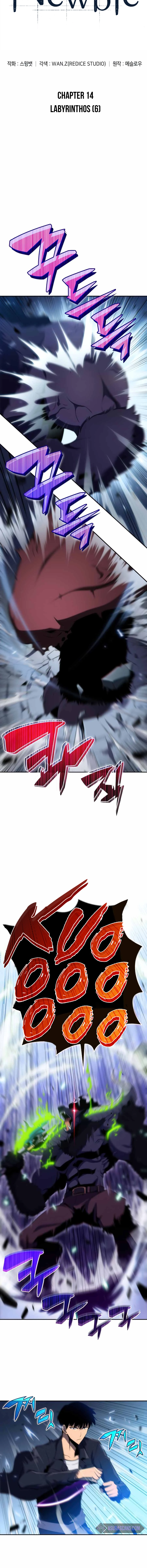 Solo Max-Level Newbie chapter 14 page 3
