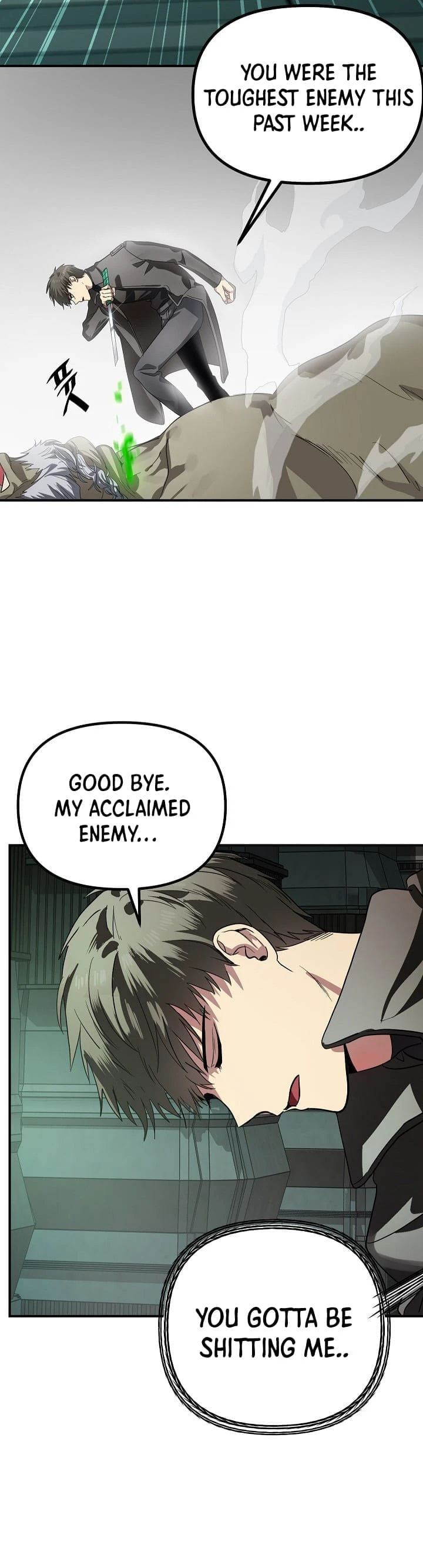 SSS-Class Suicide Hunter chapter 13 page 3