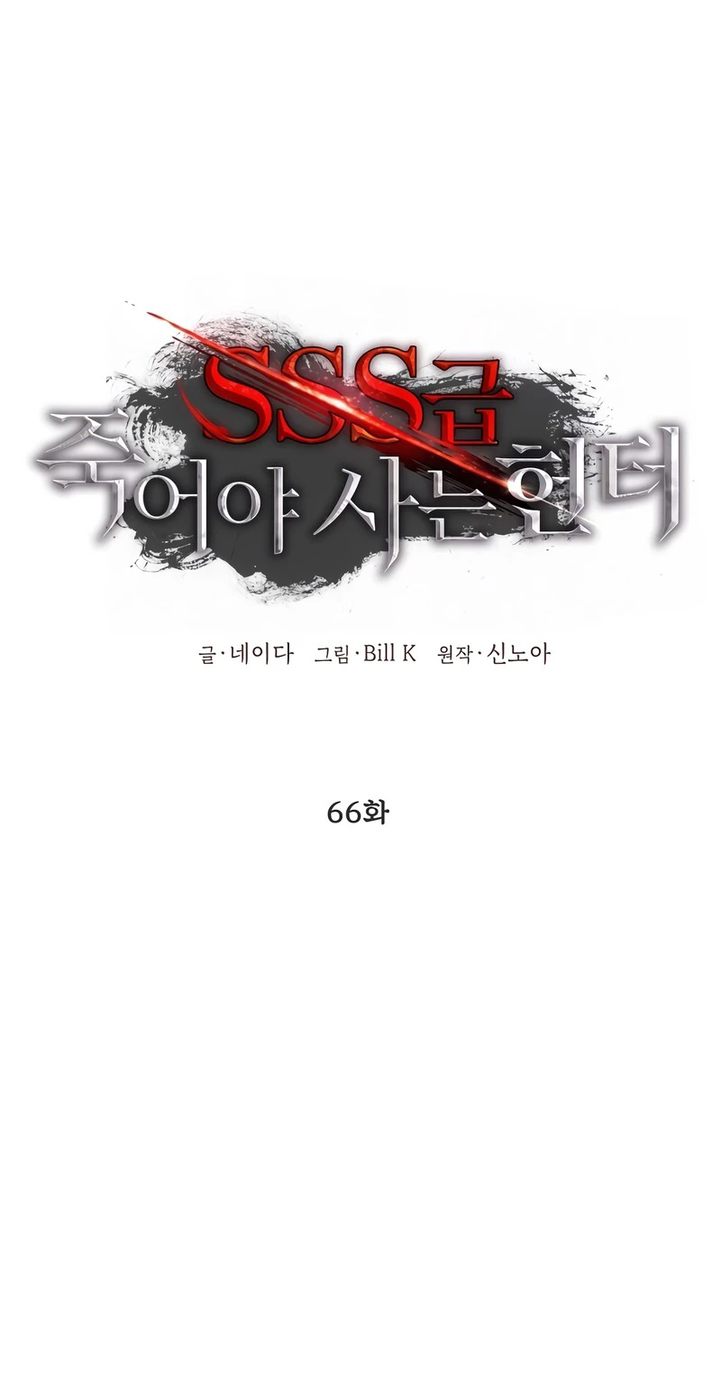 SSS-Class Suicide Hunter chapter 66 page 5