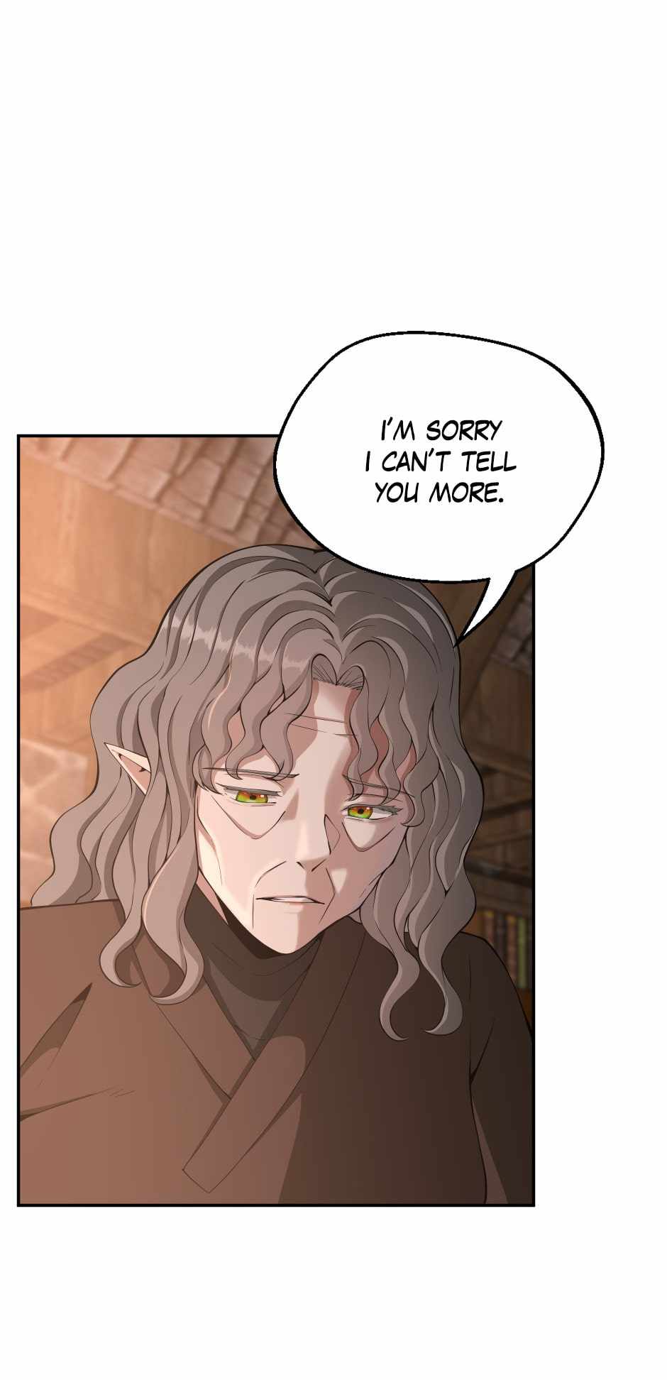 The Beginning After the End Chapter 133 page 29