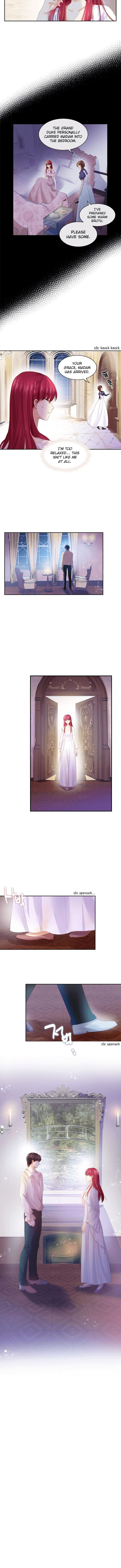 Princess and Her Ancient Vine Chapter 29 page 5