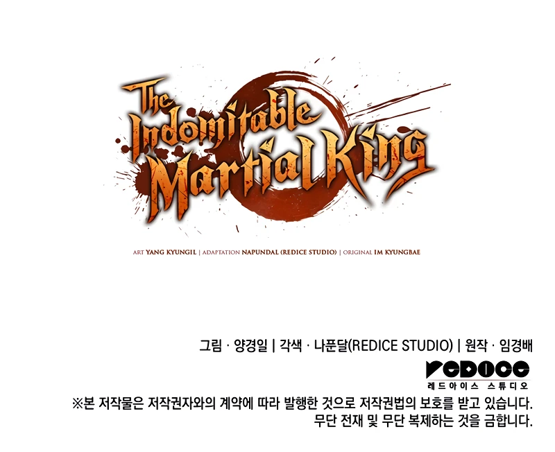 The Indomitable Martial King chapter 47 page 15
