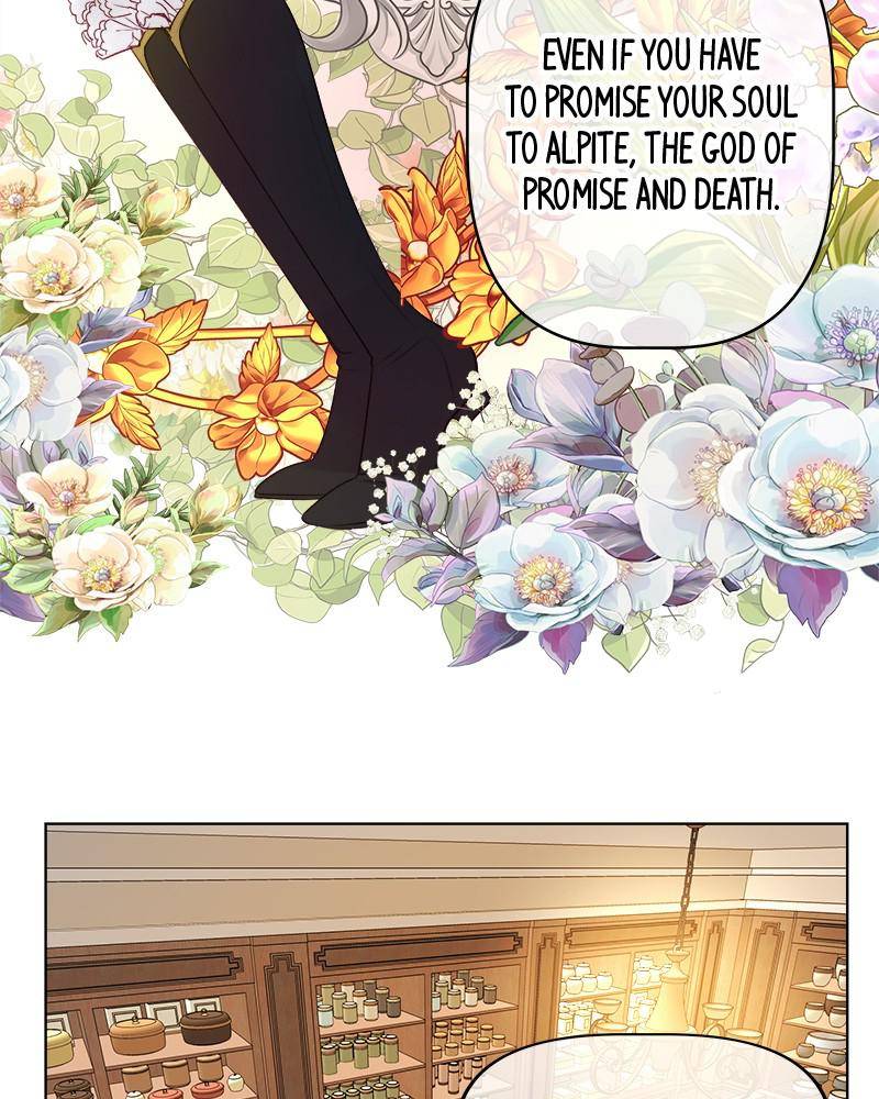 The Princess’ Jewelry Box Chapter 15 page 47