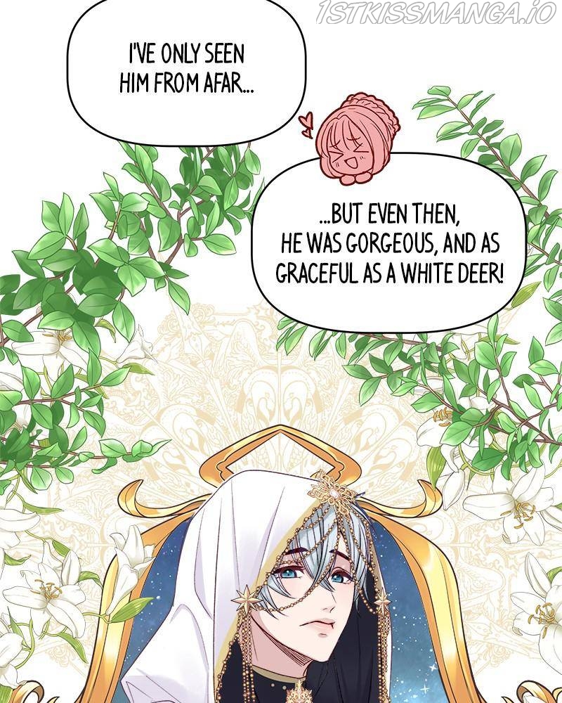 The Princess’ Jewelry Box Chapter 24 page 43