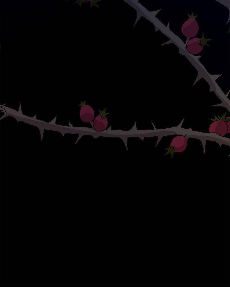 The Princess’ Jewelry Box Chapter 31 page 39