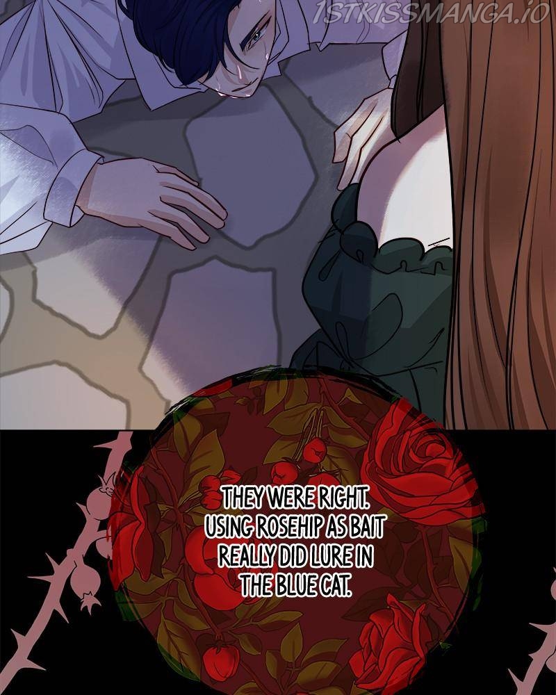 The Princess’ Jewelry Box Chapter 34 page 99