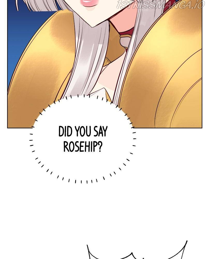 The Princess’ Jewelry Box Chapter 35 page 73