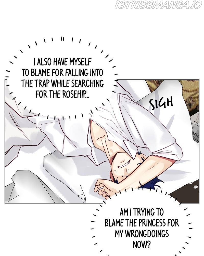 The Princess’ Jewelry Box Chapter 38 page 67