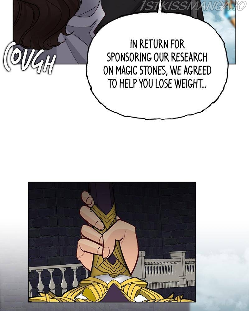 The Princess’ Jewelry Box Chapter 45 page 42