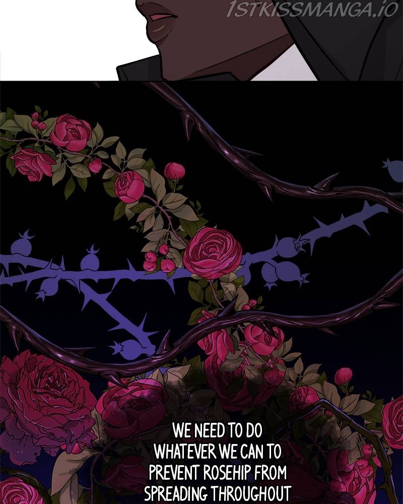 The Princess’ Jewelry Box Chapter 46 page 28