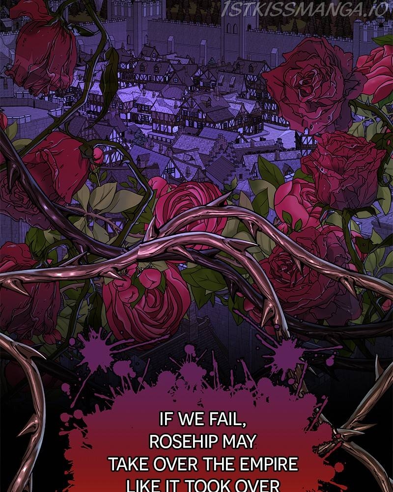 The Princess’ Jewelry Box Chapter 46 page 30