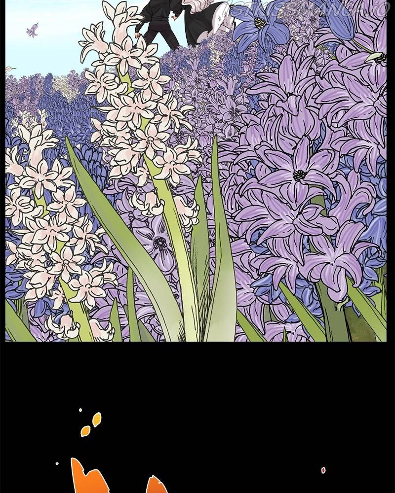 The Princess’ Jewelry Box Chapter 47 page 13