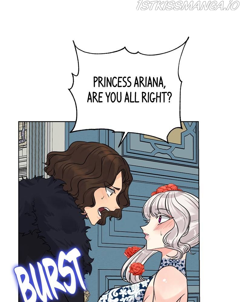 The Princess’ Jewelry Box Chapter 48 page 41