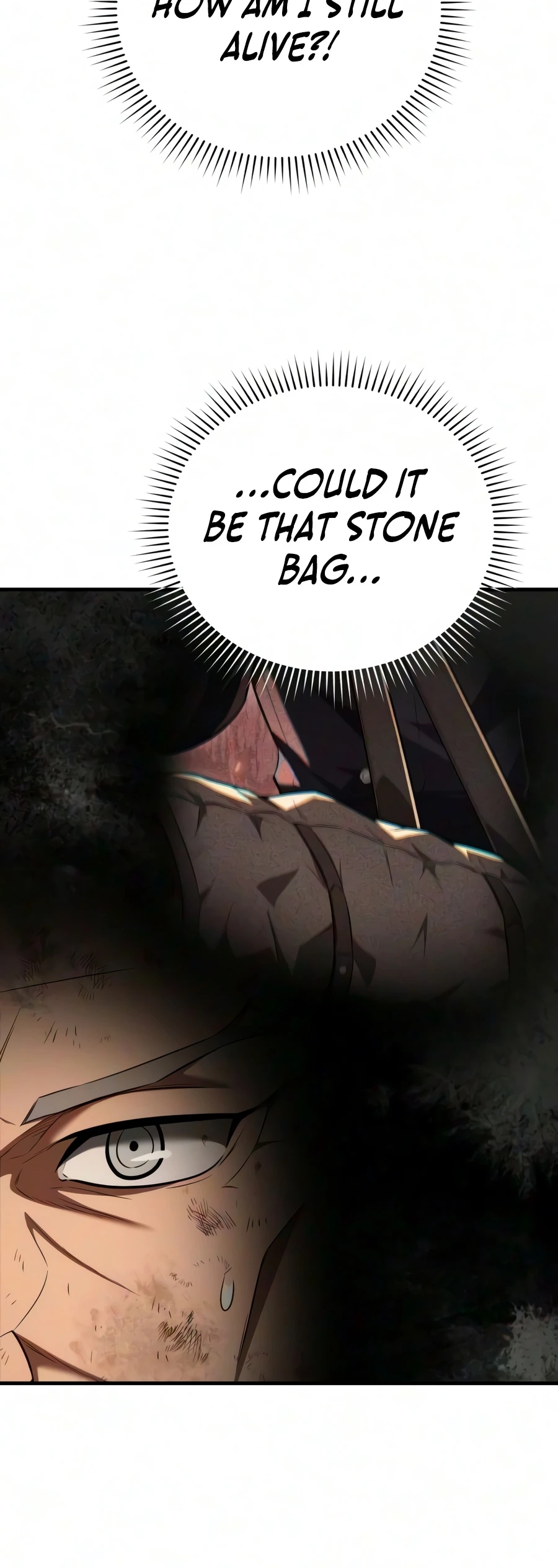 The Seventh Prince Wants to Bail chapter 10 page 17
