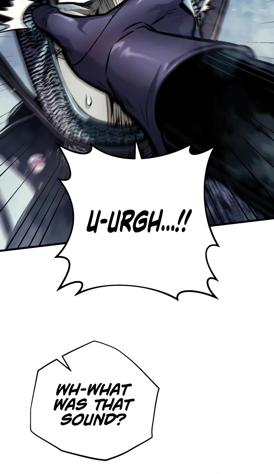 The Wandering Knight's Survival Manual chapter 57 page 3
