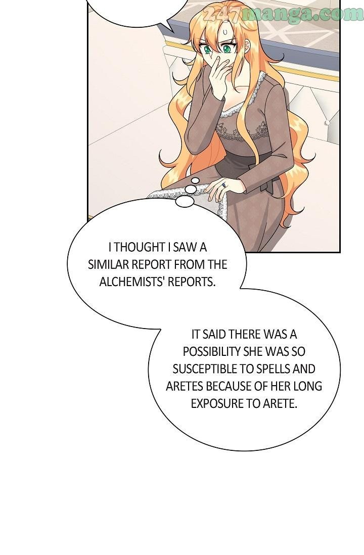 The Younger Male Lead Fell for Me before the Destruction Chapter 66 page 47